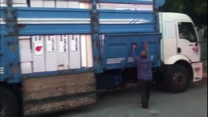 Alanya'da kaçak sigara operasyonu - ANTALYA