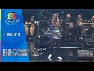 Bao Young Blood_วงเหลนบาว-เพลงสุรชัยสามช่า-7 ก.พ. 58