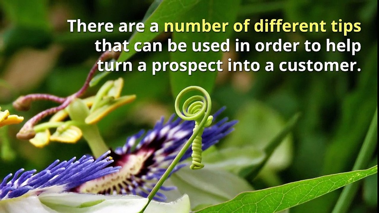 Sales Prospecting Made Easy – 6 Quick Tips - AeroLeads