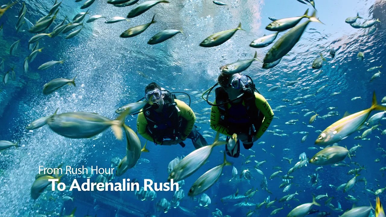 A World Away From Your Everyday - Atlantis 5 Star Luxury Resort in Dubai