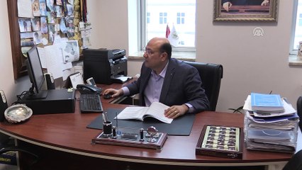 Yabani otlar fındıkta verimi düşürüyor - ORDU