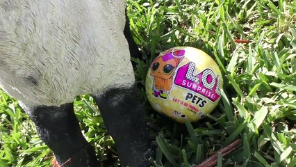 Diana Little Mommy Pretend play with LOL Surprise for kids video 2018 diana show baby