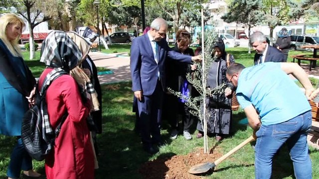 Afrin şehidinin annesi oğlunun adının verildiği parka zeytin fidanı dikti