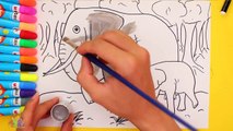 Learning How to Draw Elephants Coloring for Kids with Colored Markers Learn Colors and Draw For Kids