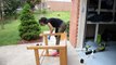 Strip Furniture: Dont Paint This Gorgeous Solid Oak Drafting Table! - Thrift Diving