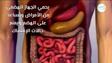 ما هي فوائد جوز الهند