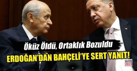 2019 SEÇİMLERİNDE AKP, MHP, CUMHUR İTTİFAKI (TEMSİLİ)