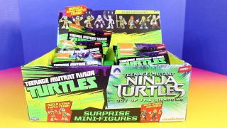 Teenage Mutant Ninja Turtles Out Of The Shadows Surprise Mini Figures Surprise Toys TMNT