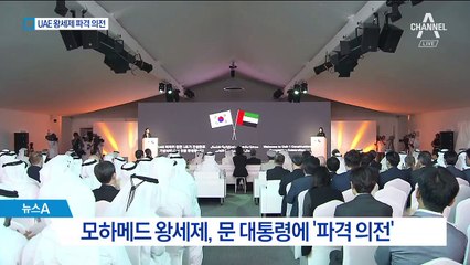 UAE 왕세제 “항상 한국 편들 것”…극진한 대접