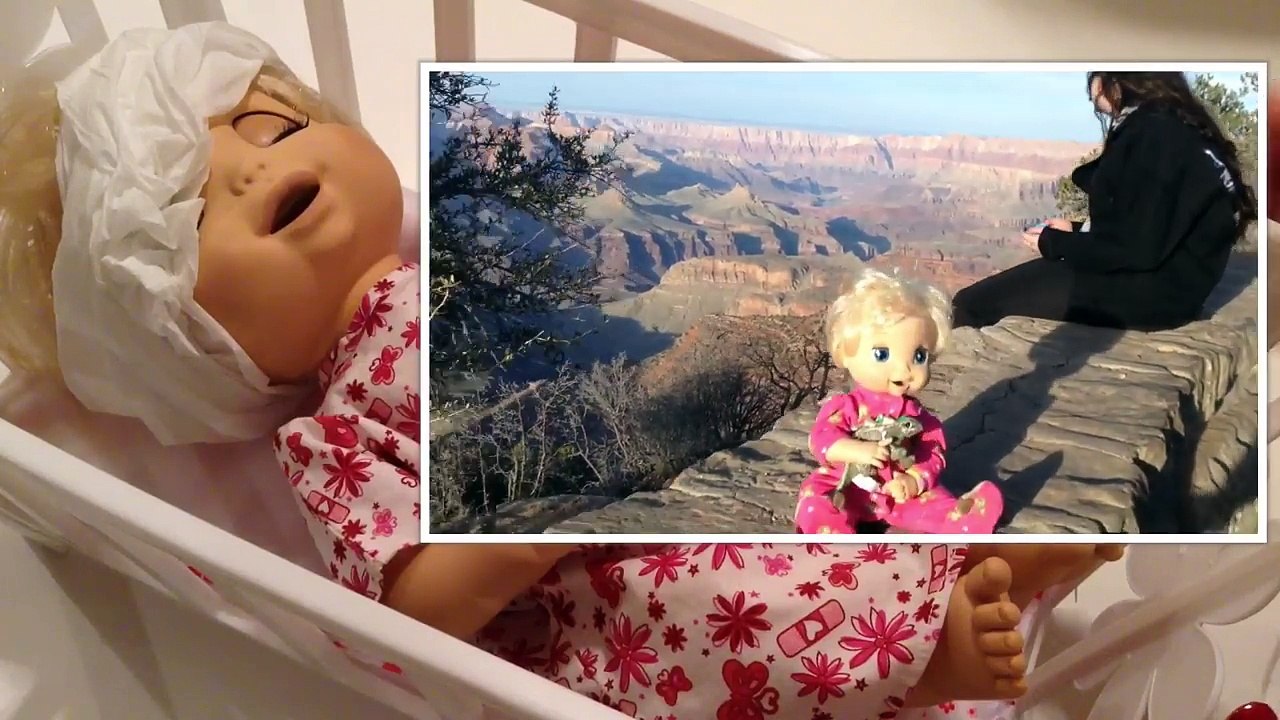Baby Alive Doll Beatrix in Hospital after she had a bad Accident at the Grand Canyon