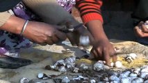 Jugadi jatt | 80 Years old farmer Sewa SIngh | Best mushroom cultivation