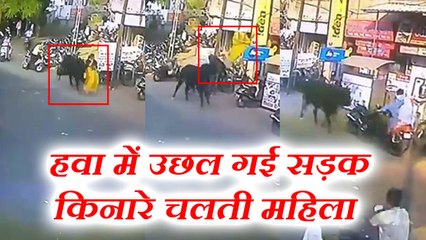 VIDEO: सड़क किनारे चलती महिला पर सांड का हमला, देखने वालों की निकल गई चीख
