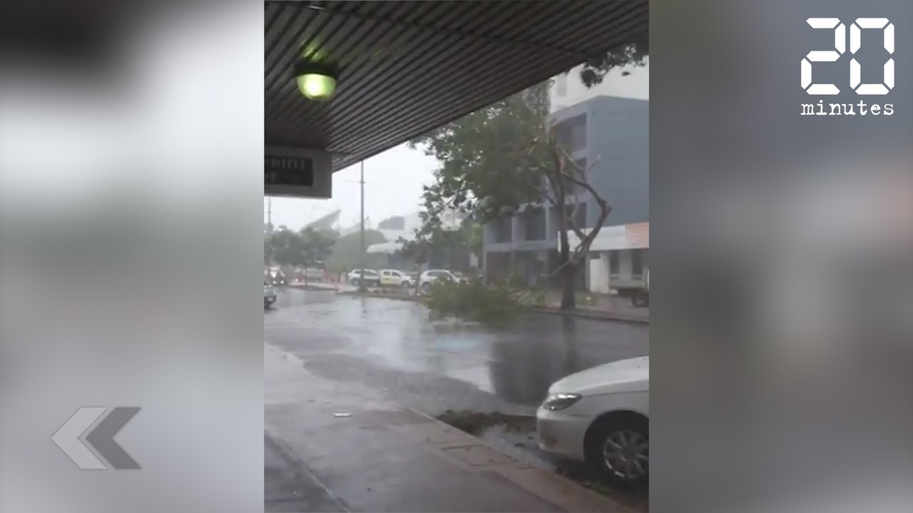 Ils manquent de se faire écraser par un arbre - Le Rewind du Mardi 27 mars 2018