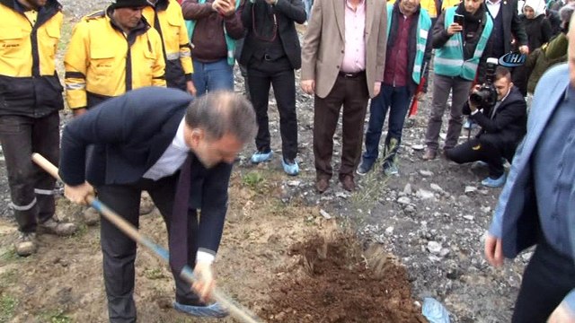 Esenyurt'ta Denetimli serbestlik hükümlüleri ağaç dikti