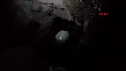 Balıkesir Kuyuda Doğuran Köpek ve 8 Yavrusunu İtfaiye Ekibi Çıkardı