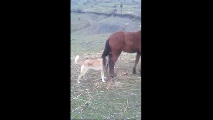 Quand tu fais des avances à une femme bien plus grande que toi