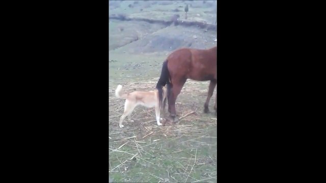 Quand tu fais des avances à une femme bien plus grande que toi