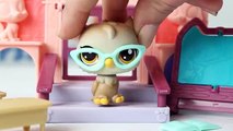 Przygody w Szkole - Disney Princess & Littlest Pet Shop - Bajka Dla Dzieci
