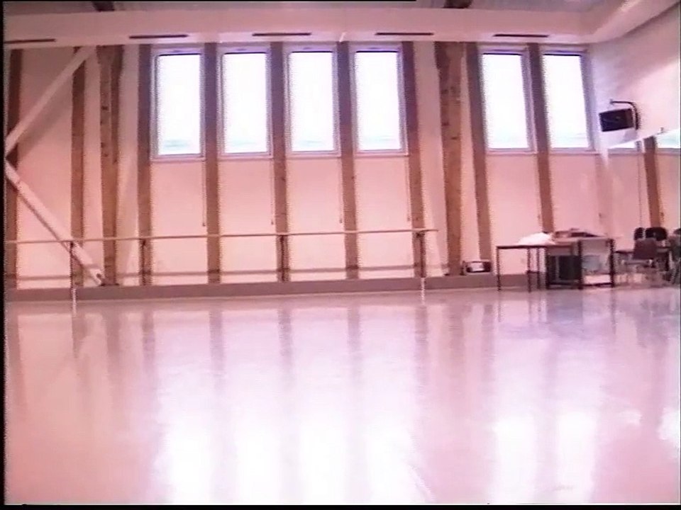 Maurice, un portrait de BEJART