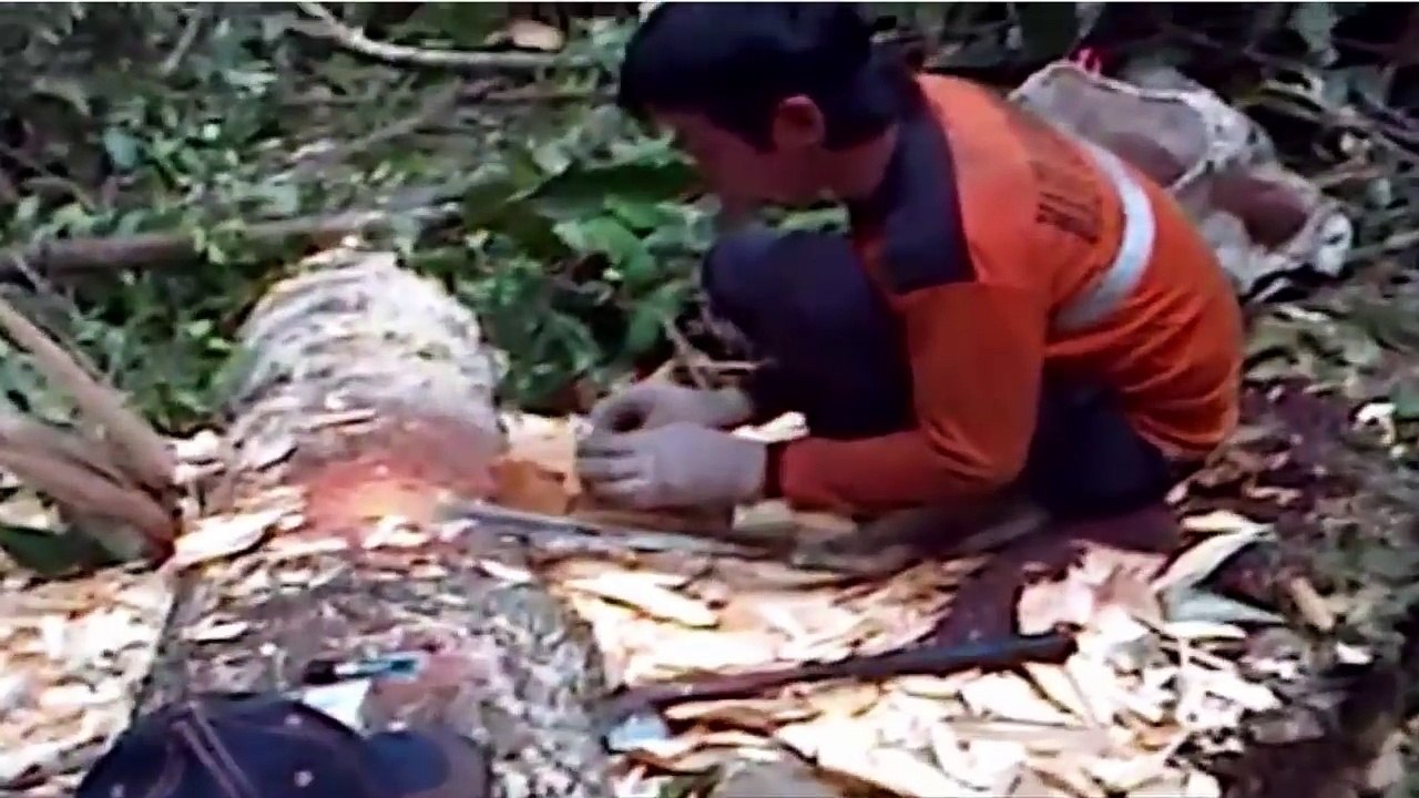 SUBHANALLAH!!! INDONESIA TERNYATA PUNYA BENDA DARI SURGA INI