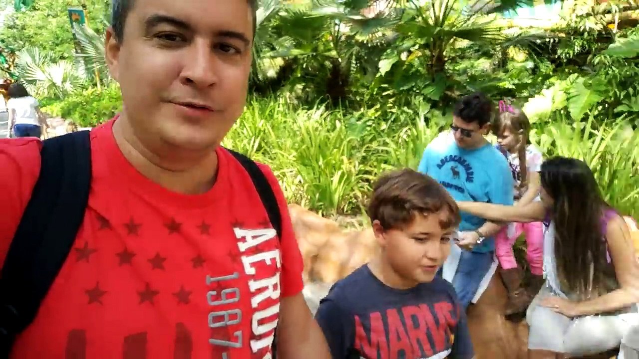 BRINQUEDOS RADICAIS COM O MEU PAI