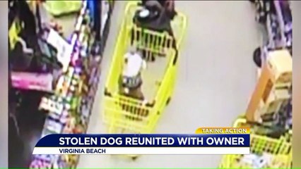 Stolen Dog Reunited With Family