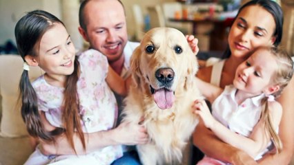 Family Dog Kills 4-Year-Old Left Alone in Backyard: Police