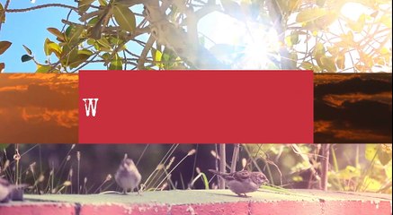 WEATHER: Your latest weather update