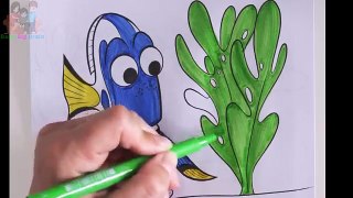 FINDING DORY COLORING IN PICTURE FUN BOOK LEARNING RAINBOW COLORS