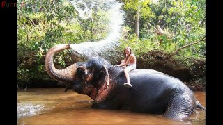 Most Beautiful Cutest Moments Between Humans and Animals