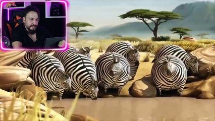 YARAN ANİMASYONLAR (  )