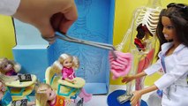 باربي في المدرسة حصة العلوم حلقة 2 - ألعاب Barbie Squishy Human Body Parts
