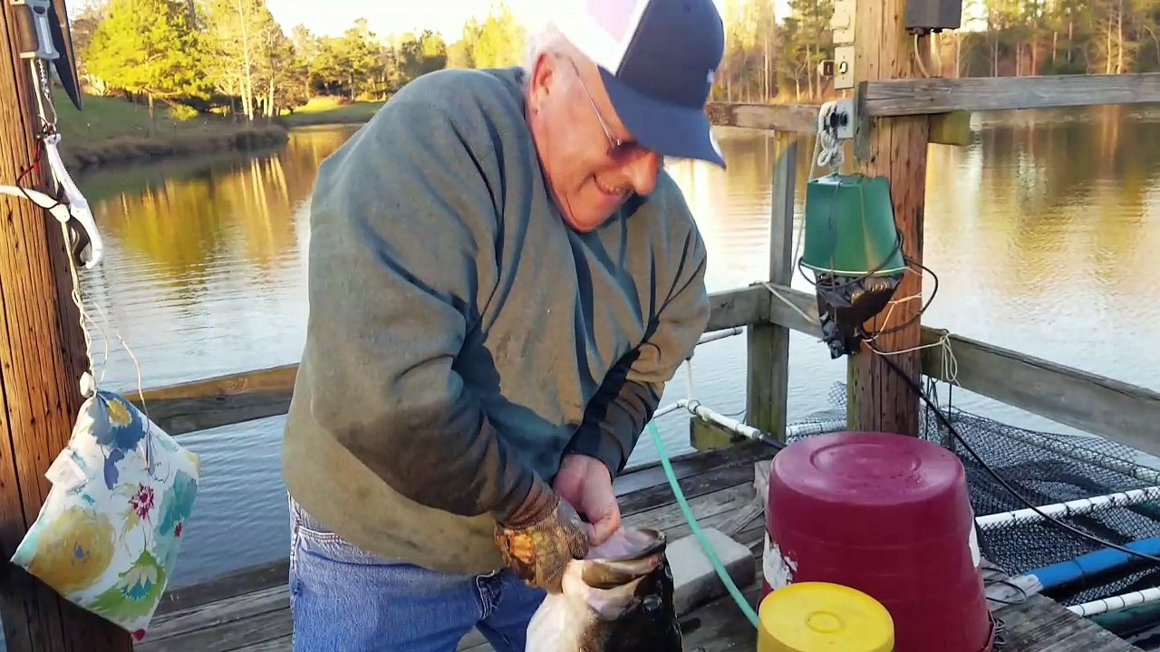 Record-Breaking Bass Caught by Hand