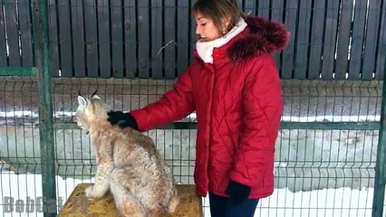 ОБСУДИМ ХАРАКТЕР ЯКУТСКОЙ РЫСИ