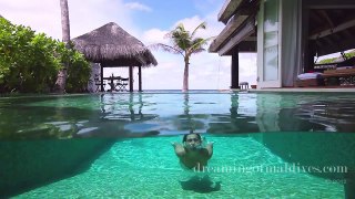 Naladhu Maldives HD Video
