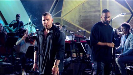 Fler feat Jalil - Lebron - Vibe