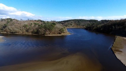 le site abbatial de St maurice