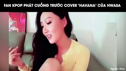 FAN KPOP PHÁT CUỒNG TRƯỚC COVER 'HAVANA' CỦA HWASA