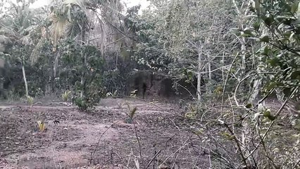 Real Satanic Story Of Ghost Hunt In Forest!! Ghost Caught On Tape!!