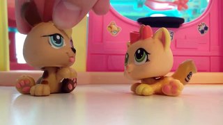 LPS: Valentines Day Special 2017