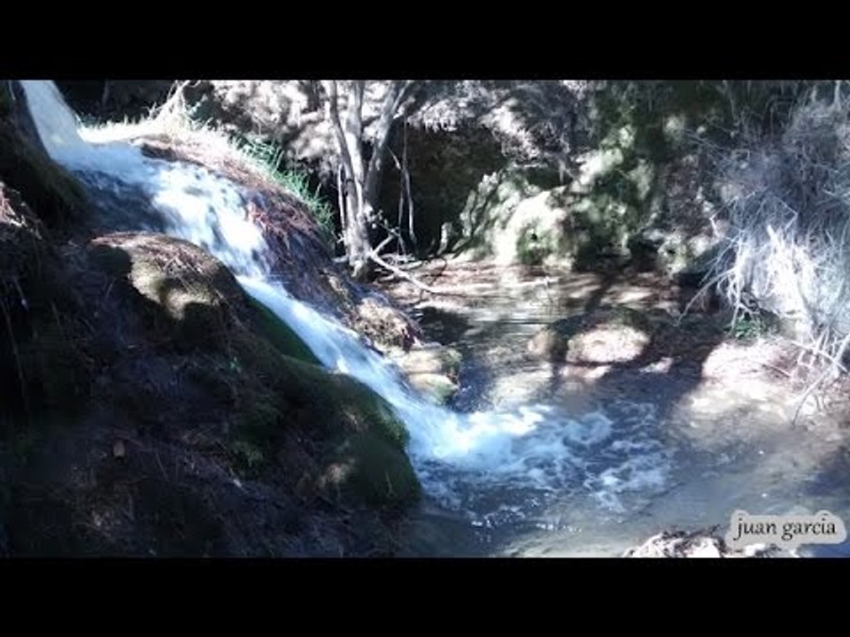 los sonidos de la naturaleza,con musica de fondo -nature sounds-