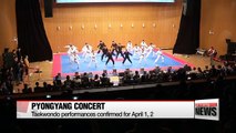 Additional artists and taekwondo team confirmed for Pyongyang concert delegation