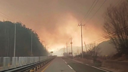 [영상] 고성 산불 확산...주민 대피·강풍에 진화 어려움 / YTN