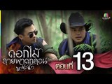 ดอกไม้ลายพาดกลอน | ตอนที่ 13 | 14 พ.ย. 58 Full HD