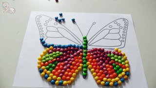 Skittles Butterfly Beautiful Colors