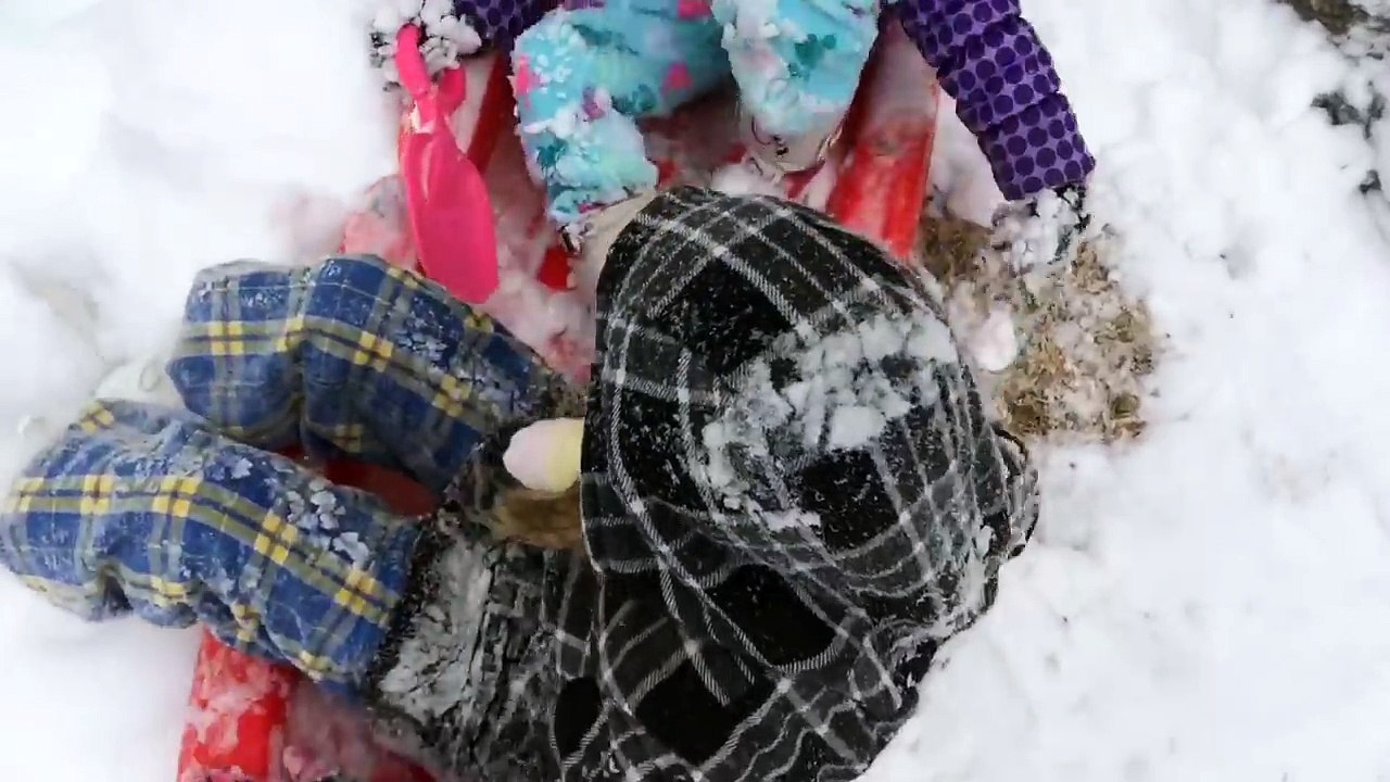 VLOG: Snow Day Insanity! Grim Annoys Heel Wife! Little Grimmettes botch RKOs