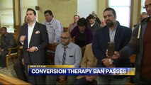 Milwaukee Common Council Approves Ban on Gay Conversion Therapy