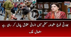 Indian Army is hitting human rights in occupied Kashmir said Mishal Malik