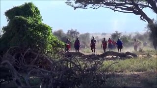 Lion vs Maasai, Amboseli National Park, Safari Kenya new