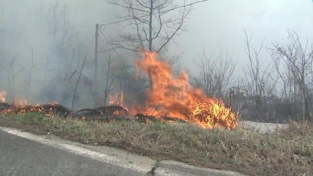 [속보] 강원 고성 산불 확산...주민 긴급 대피·국도 통제 / YTN